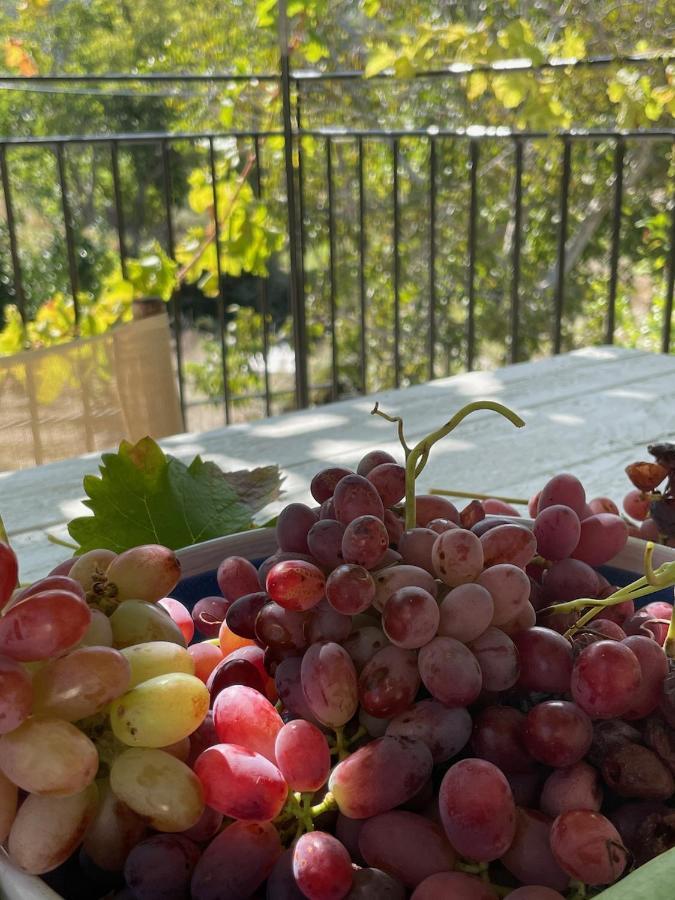 Maison Portokalia Μιξόρρουμα Εξωτερικό φωτογραφία